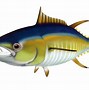 Image result for Tuna Fish Clip Art