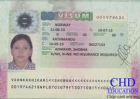 Image result for Norwegian Student Visa