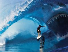 Image result for Cool Shark PC Wallpapers