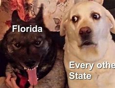 Image result for Florida GOP Meme