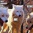 Image result for Baby Wolf Meme