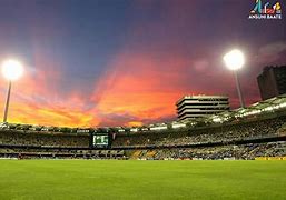 Image result for Cricket Background