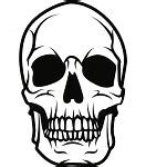 Image result for 8 Ball Skull Art Vector