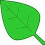 Image result for Green Leaves Aesthetic Clip Art