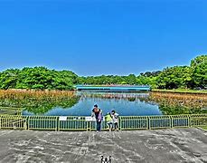 Image result for Nagai Park