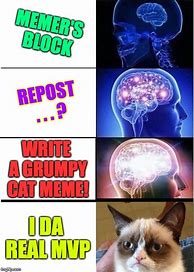 Image result for You the Real MVP Cat