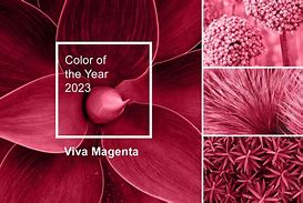 Image result for Hot Pink Magenta