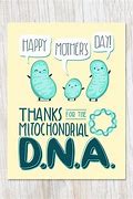 Image result for Thank You DNA Meme