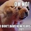 Image result for Funny New Year's Animal Memes