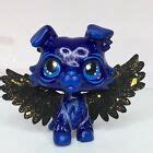 Image result for LPs Galaxy Cat