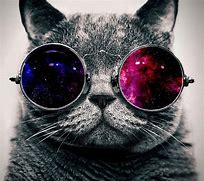Image result for Galaxy Hipster Cat