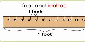 Image result for Foot 12 Inches