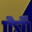 Image result for Notre Dame Fighting Irish Football Team Logo