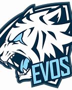 Image result for EVO Logo Design