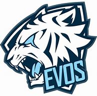 Image result for Evos Mobile Legend