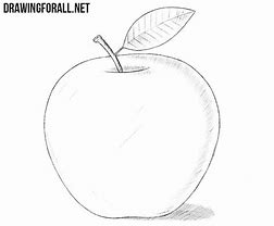 Image result for Apple Drawing