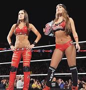 Image result for Nikki Bella and Brie Bella