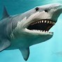 Image result for Biggest Shark to Exist