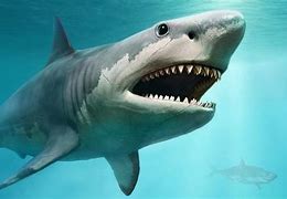 Image result for World Biggest Dinosaur Shark