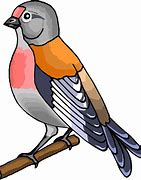 Image result for Bird Cartoons
