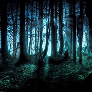 Image result for Mysterious Forest Wallpaper
