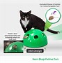 Image result for New Cat Toys