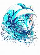 Image result for Crazy Space Cat Meme