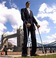 Image result for Tallest Man Sultan Kosen