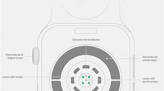 Image result for Sensors On the Back of an Apple Iwatch Series 6