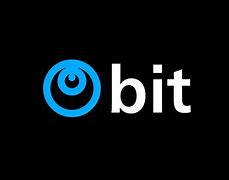 Image result for Bit Logo