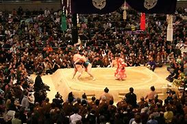 Image result for Sumo Wrestling Game