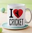 Image result for Unusual Cricket Gifts