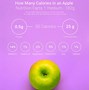 Image result for Apple Cider Facts
