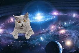 Image result for Galaxy Cat Meme