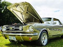 Image result for mustang show