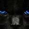Image result for Black Cat Eyes Desktop Background