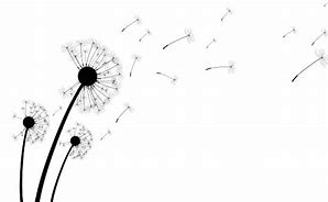 Image result for Dandelion Puff Clip Art Black and White