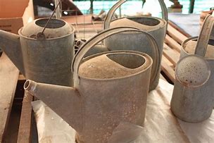 Image result for Galvanized Metal Watering Can