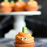 Image result for Simple Animal Cupcakes