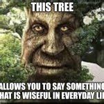 Image result for Tree Meme Smug