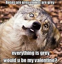 Image result for Baby Wolf Meme