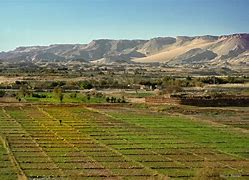 Image result for Agriculture in Egypt