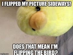 Image result for Bird Flip Meme