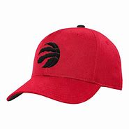 Image result for Raptors Snapback Hat