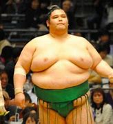 Image result for Largest Sumo Wrestler