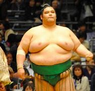 Image result for World's Biggest Sumo Wrestler