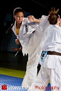 Image result for Kyokushin Karate Girl