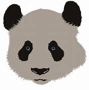 Image result for Panda Head