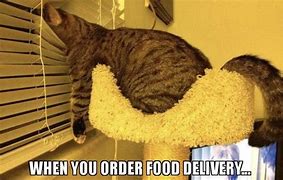 Image result for Food Delivery Meme