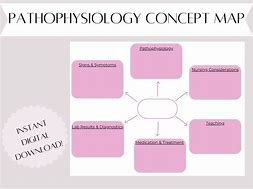 Image result for Pathophysiology Concept Map